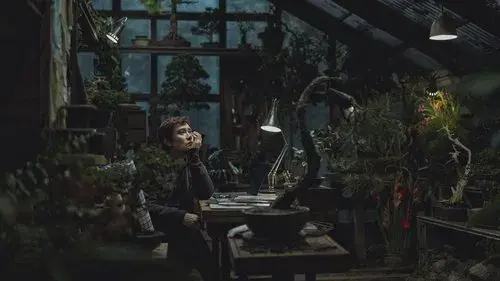 Backdrop for No Other Choice